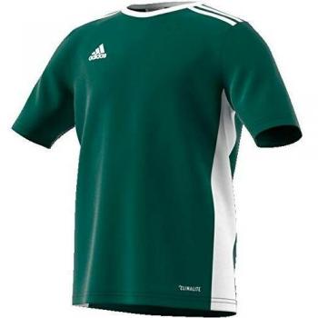 adidas Entrada 18 JSYY T-Shirt, Boys, Collegiate Green/White, 1112