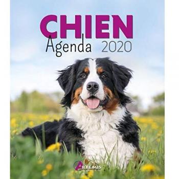 Agenda Chien
