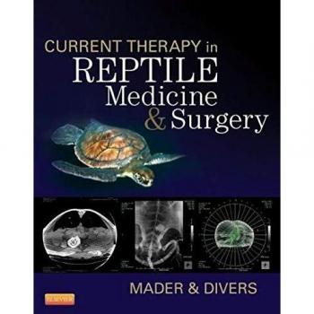 Reptile Medicine and Surgery: Current Therapeutic Approaches