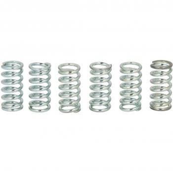 Kit de muelles de embrague TRW MEF106-6 con características de alta resistencia, diseño específico para una óptima compatibilidad y rendimiento en vehículos, incluye todos los componentes necesarios para la instalación