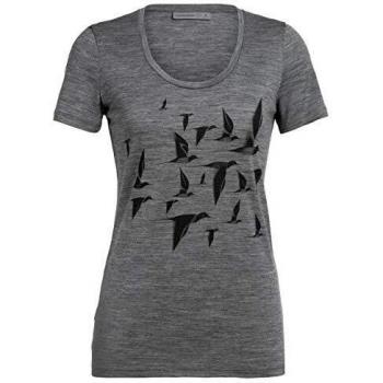 Icebreaker Women Tech Lite SS Scoop Flora and Fauna, XL, color gris