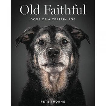 Old Faithful: Dogs of a Certain Age