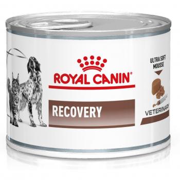 Royal Canin Veterinary Diet Canine/Feline Recovery Mousse Wet Dog & Cat Food - Bulk Pack: 48 x 195g