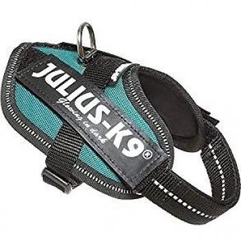JULIUS-K9 16IDC Power Harness