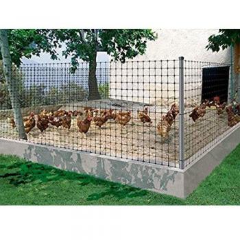 Nortene 170610 - Malla Gallinera Avinet 36 Negra 1X200M