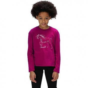 Regatta ' Wendell' Cotton Graphic Print Long Sleeve T-Shirt Polos/Camisetas, Infantil, Morado, 9-10