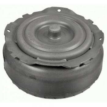 Conjunto de acoplamiento de fluidos y convertidor de par SACHS 0700 600 053