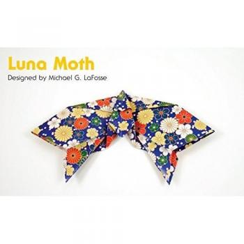 Amazing Origami Papers with Book 17 Projects