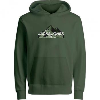 Sudadera con capucha Jack and Jones Jcomountain Logo Cypress Infantil