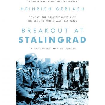 Ruptura en Stalingrado - Novela Histórica y de Guerra