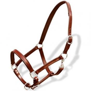 vidaXL Ronzal Cabestro de Cuero Marrón Ajustable para Caballo Tipo Percherón