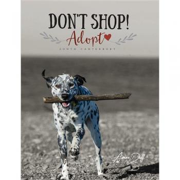 Adopta, No Compres! - Canterbury del Sur