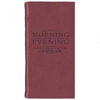 MORNING AND EVENING- MATT BURGUNDY