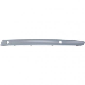 Listón embellecedor/protector para parachoques BLIC 5703-05-0085925Q Izquierda y Protector para parachoques PRASCO BM1211232