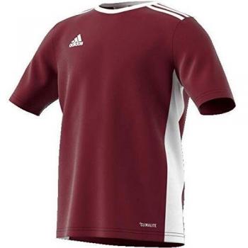 adidas Entrada 18 JSYY T-Shirt, Boys, Maroon/White, 910Y