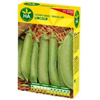 SEMILLAS GUISANTE ENANO LINCOLN CAJA 250 GR