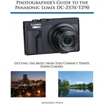 Guía del Fotógrafo para la Panasonic Lumix DC-ZS70/TZ90: Aprovecha al Máximo esta Cámara Compacta de Zoom para Viajes