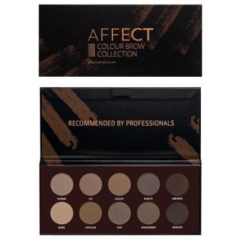 Paleta de Sombras para Cejas Affect Colour Brow Collection 10x2g
