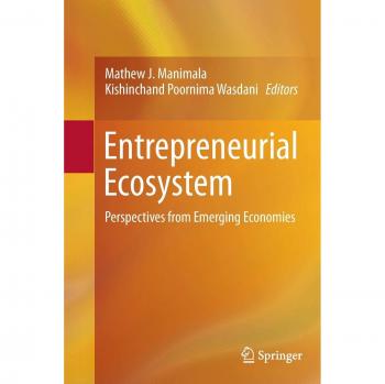 Emerging Economies Entrepreneurial Ecosystem Insights