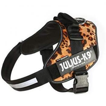 JULIUS-K9 16IDC Power Harness