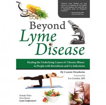 Beyond Lyme Disease: Healing the Underlying Causes of Chronic Illness in People with Borreliosis and Co-Infections