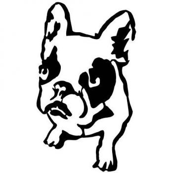 Walimex lity Dogo Decorativo Pared Accesorios, Metal, Negro, 40 x 40 cm