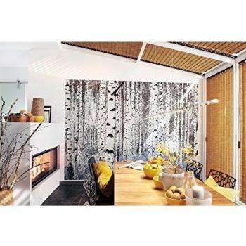 Papel Pintado No Tejido Komar Bosques, 400x270 cm (Ancho x Alto)