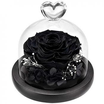 DuHouse Forever Roses Preserved Real Flowers Eternal Enchanted Rose Flower Box Unique Gift for Valentines Birthday Anniversary Mother's Day Christmas