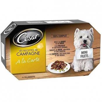 César Barquetas Mini Filetes en Salsa - 4 Variedades - Para Perros Adultos - 4 x 150 g