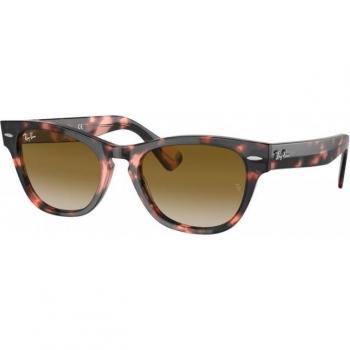 Ray-Ban Laramie Gafas de Sol RB 2201 1334/51