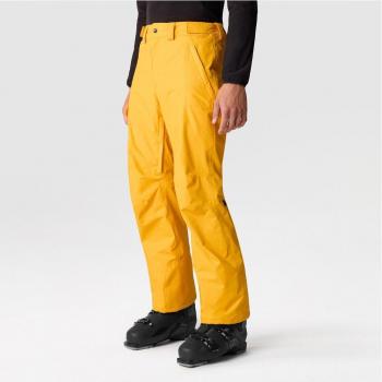 Pantalón de nieve de hombre FREEDOM The North Face