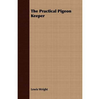 The Comprehensive Guide to Pigeon Care and Management