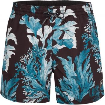 O'NEILL Origin Oyster Men's Swim Shorts