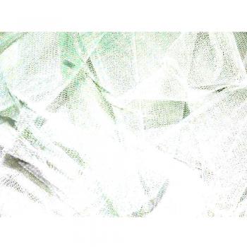 Tejido de tul (ancho: 137 m, precio por 10 m), color blanco