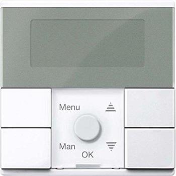 Merten MEG5755-0325 Interruptor