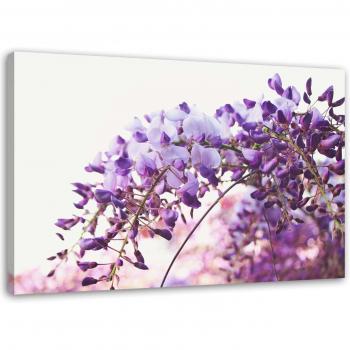 Impresión en lienzo Flores de Glicinia 60x40 Violeta