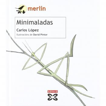 Minimaladas