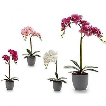 Ibergarden S3606144 Flor Decorativa Plástico Orquídea