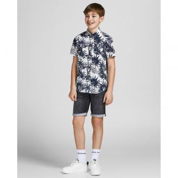 Bermuda Shorts Playa Pantalon Corto 27363