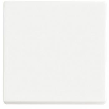 Wippe Busch-Jaeger 1786-884 para interruptor, blanco mate, Future Linear