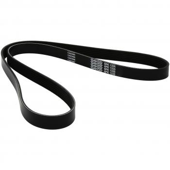 DAYCO 6PK1335 Correa Trapecial Poli V