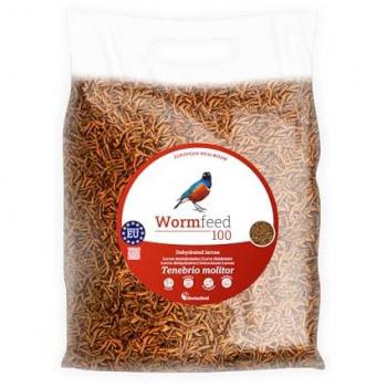 Gusano de Harina Premium 250 g - Larvas de Tenebrio molitor para Aves, Reptiles, Roedores y Peces - Alta en Proteínas y Omega 3 y 6 - Calidad Europea
