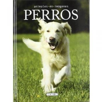 Perros