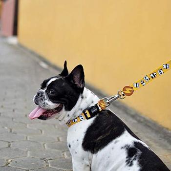 Collar Snooze Dashi para Perros - Color Varios, Tamaño Grande, Material Resistente, Diseño Ergonómico y Ajustable