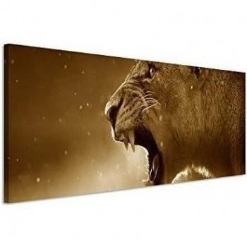 150 x 50 cm – cuadro panorámico Foto lienzo en sepia Leona Parque Nacional sur África