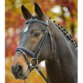 Brida de equitación Star Diamond con muserola combinada Fucsia