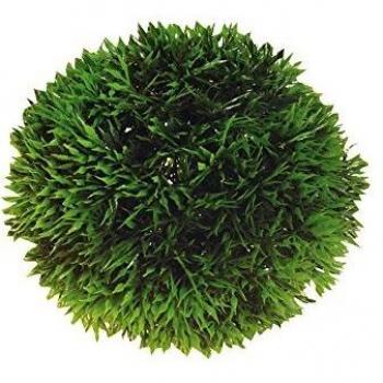 Planta Artificial Bola 9 cm para Acuario - Apariencia Realista y Sistema de Fijación al Fondo