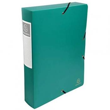Exacompta 59883E - Carpeta de proyecto con goma, color verde