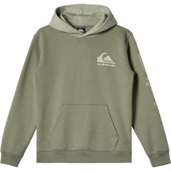Quiksilver - Sudadera con Capucha para Niños Omni Logo Verde