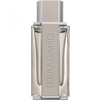 Salvatore Ferragamo Bright Leather Eau de Toilette for Men 100 ml